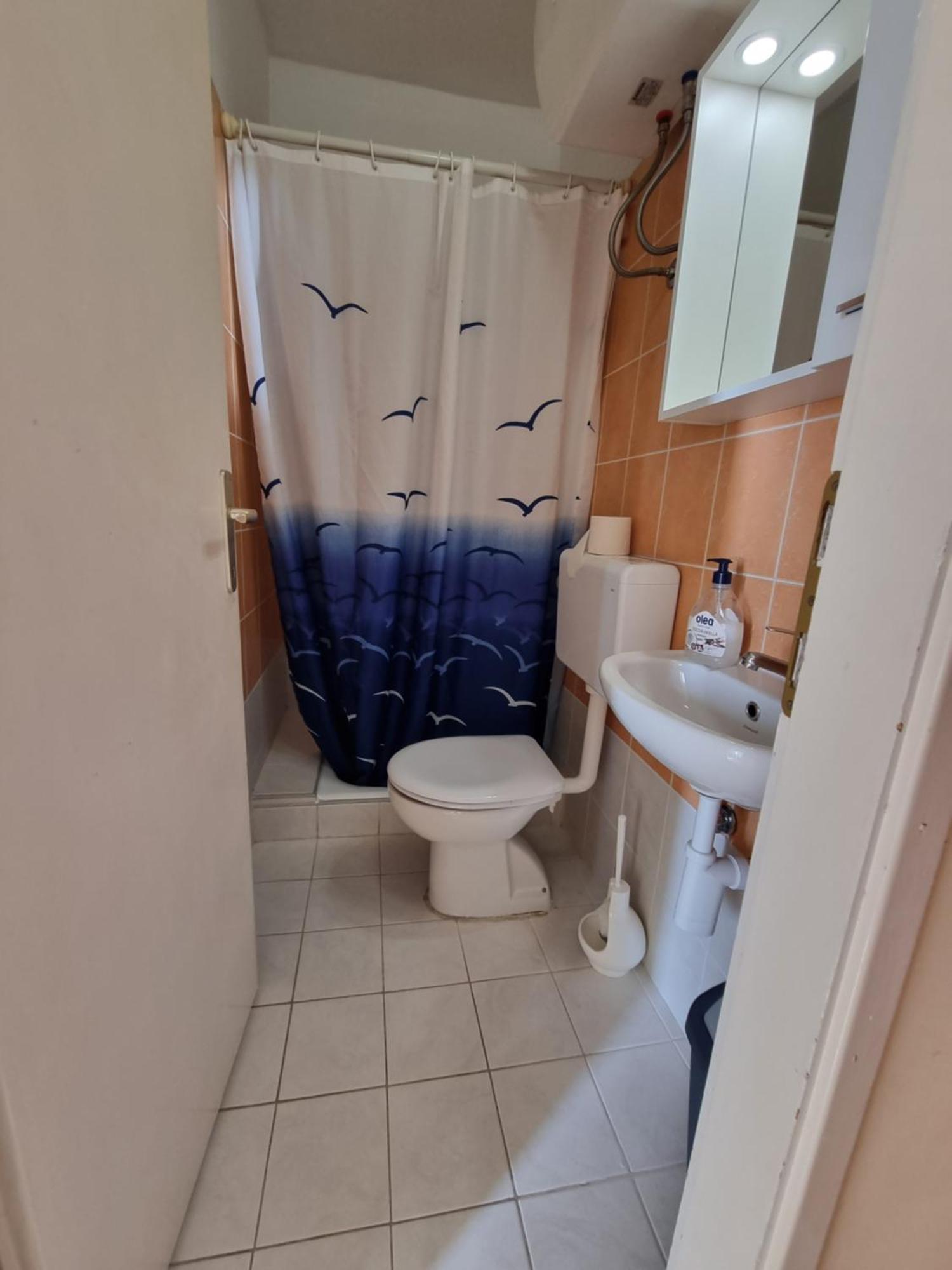 Apartmani Apollo - Drasnice Habitación foto
